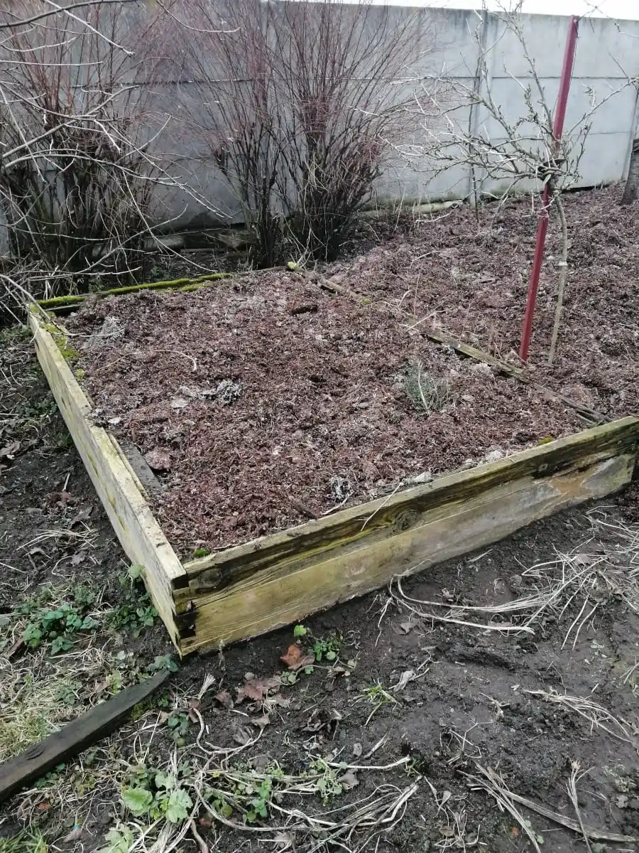 Grządka podwyższona