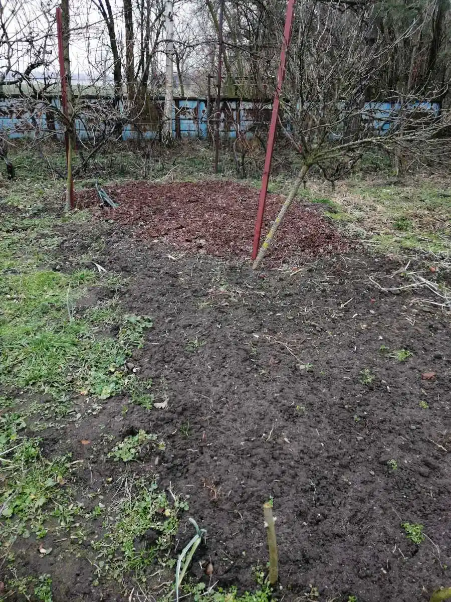 Rozrzucanie podłoża