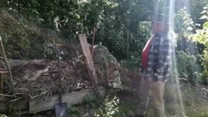 kadr z filmu