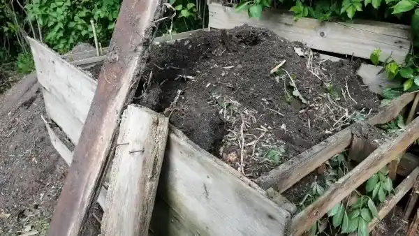 ostatnia faza kompostu