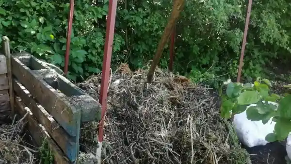 wstępna faza kompostu