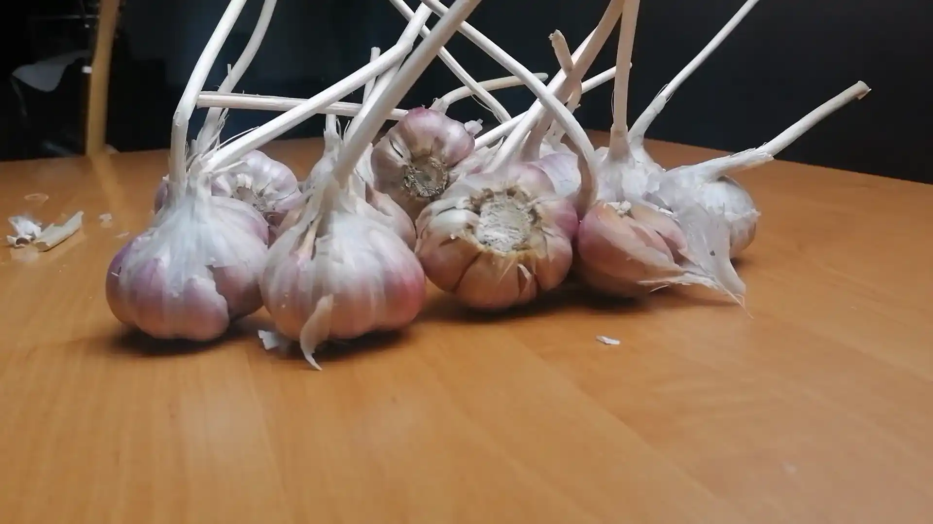 Czosnek zimowy Harnaś