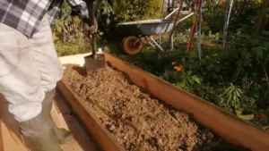 glina grządki podwyższone