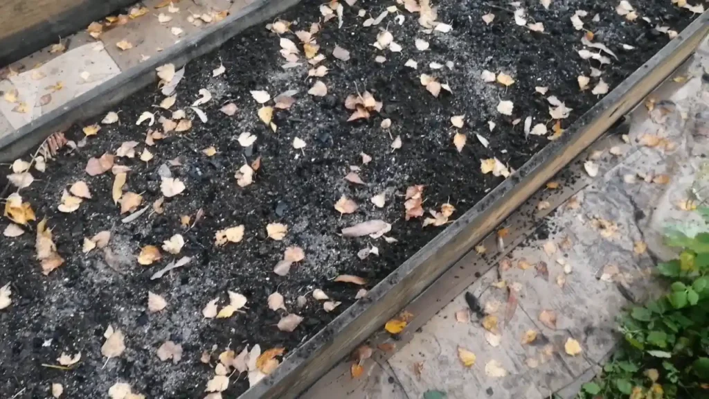 Grządka podwyższona