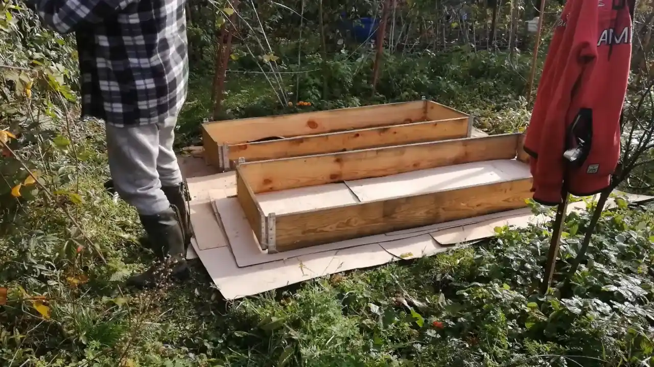 kartony grządki podwyższone