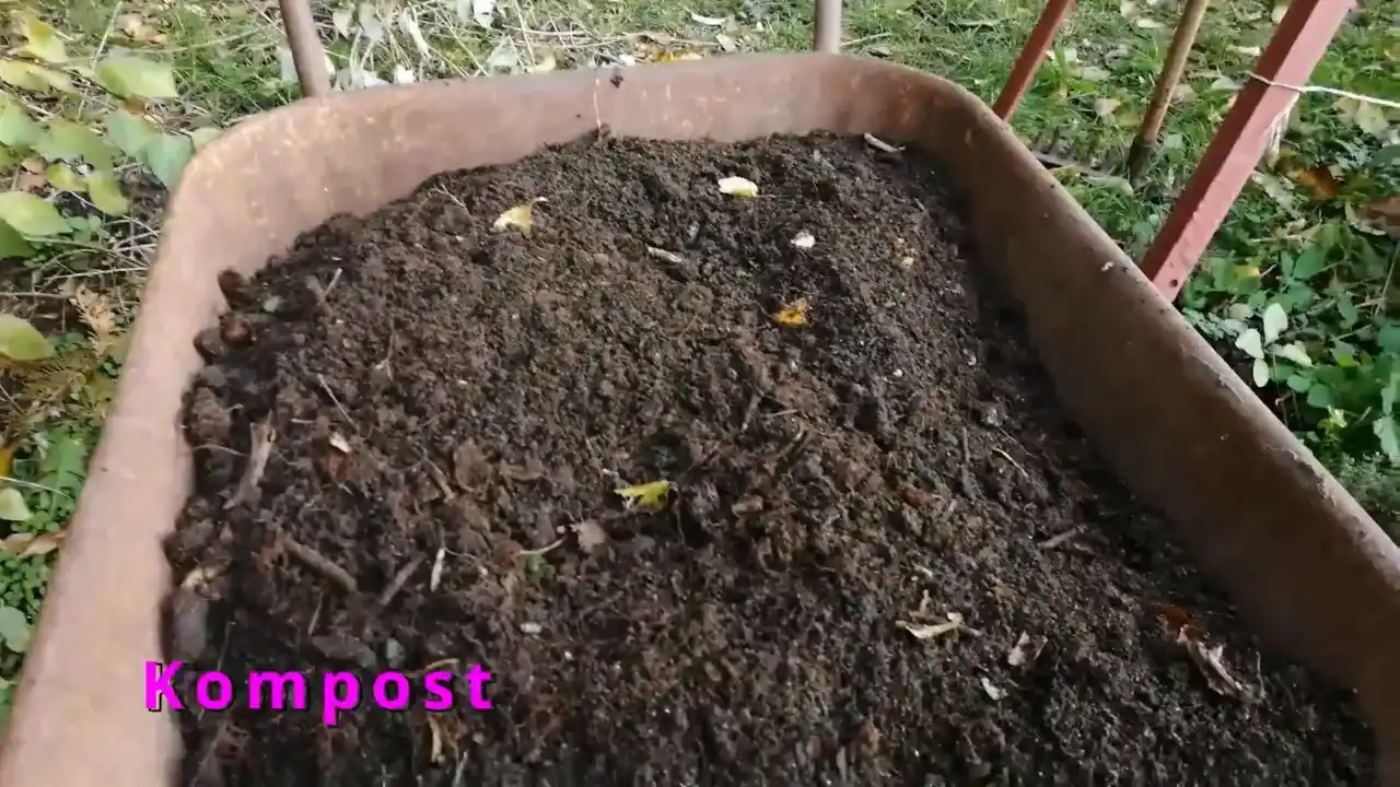 kompost