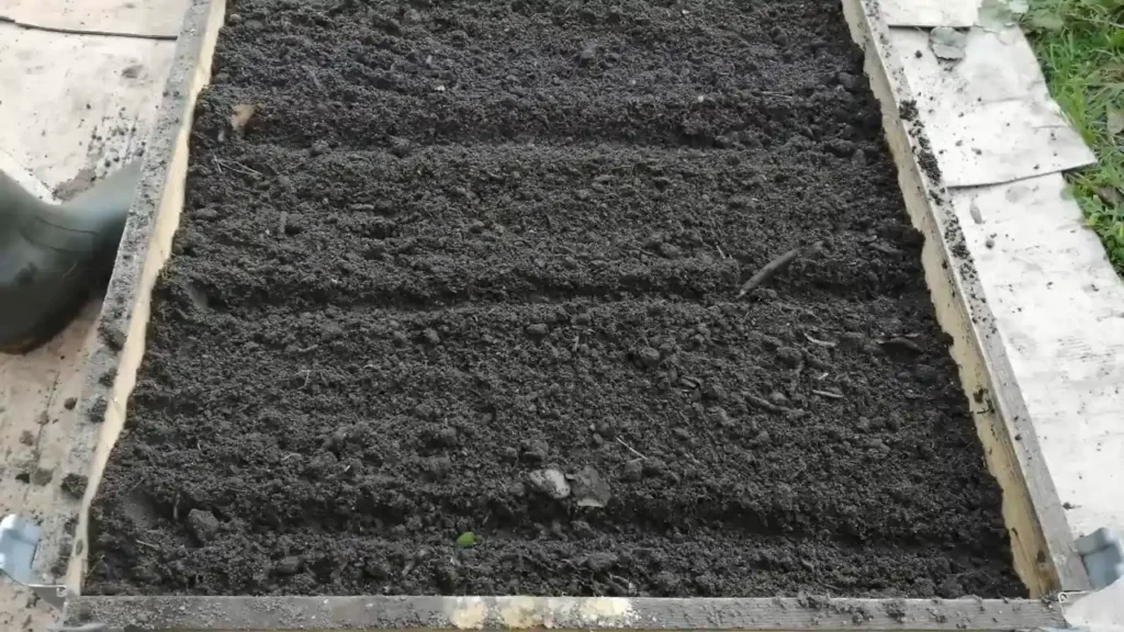 rządki grządki podwyższone