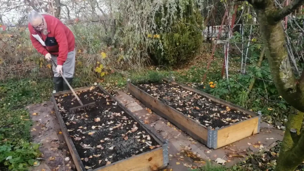 Wyrównanie grządki