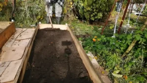 ziemia grządki podwyższone