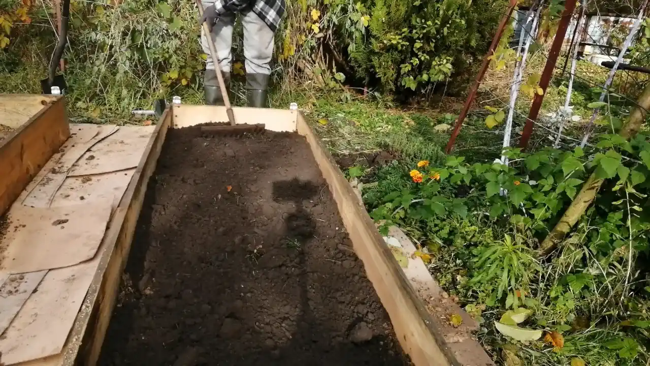 ziemia grządki podwyższone