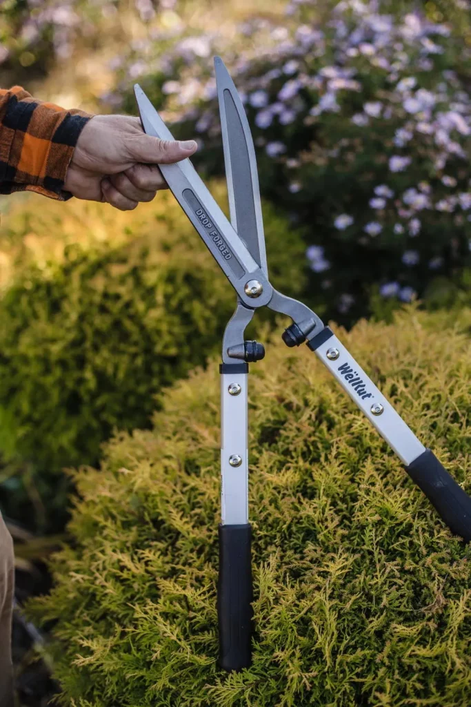Nożyce do cięcia żywopłotu WelKut