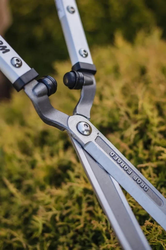 Sekator nożyce do żywopłotu