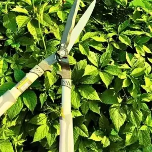 Nożyce do żywopłotu 21cm Green Star 2