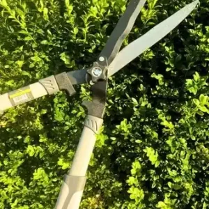 Nożyce do żywopłotu 21cm Green Star 4