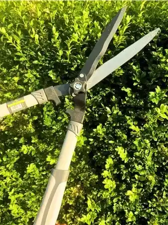 Nożyce do żywopłotu 21cm Green Star 4