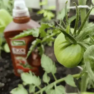 Zestaw Ekopomidor Vegano 5x1l Naturalny Nawoz Ekologiczny 50% taniej 7