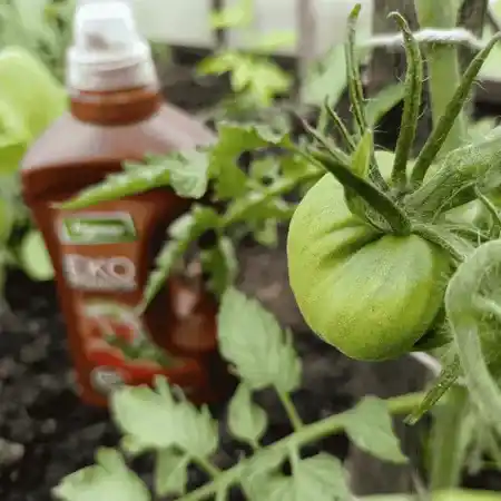 Zestaw Ekopomidor Vegano 5x1l Naturalny Nawoz Ekologiczny 50% taniej 7