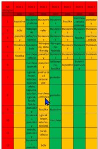 plan płodozmianu w ogrodzie